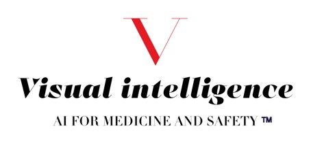 Visual_Intelligence_Logo